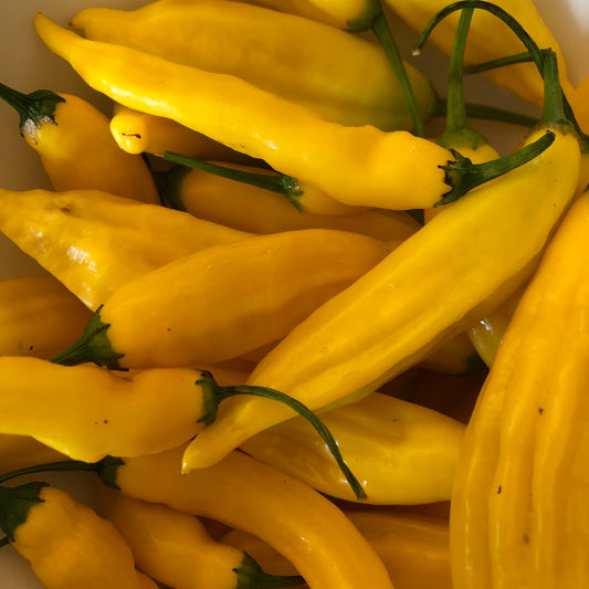 Aji Limon