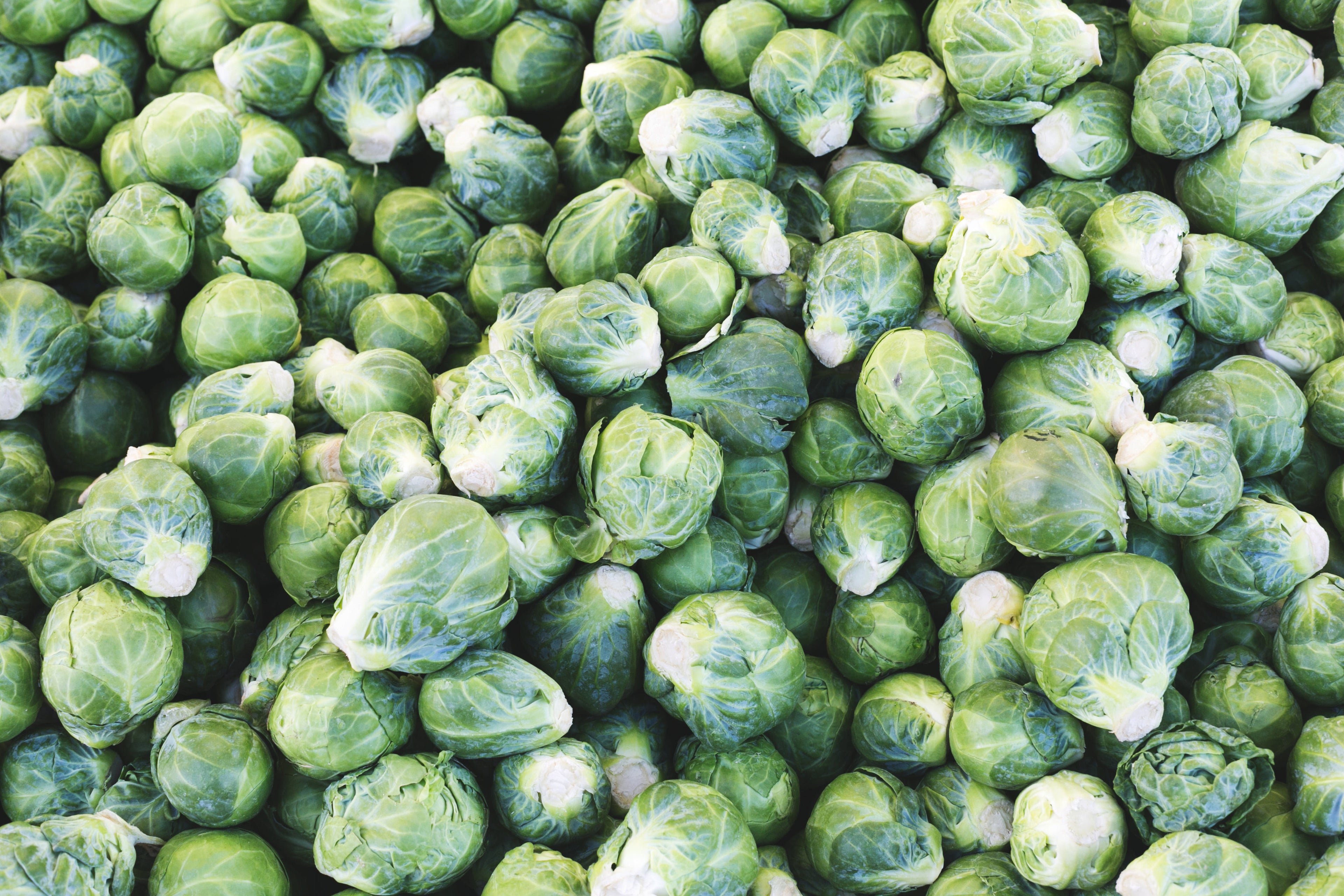 Brussel Sprouts