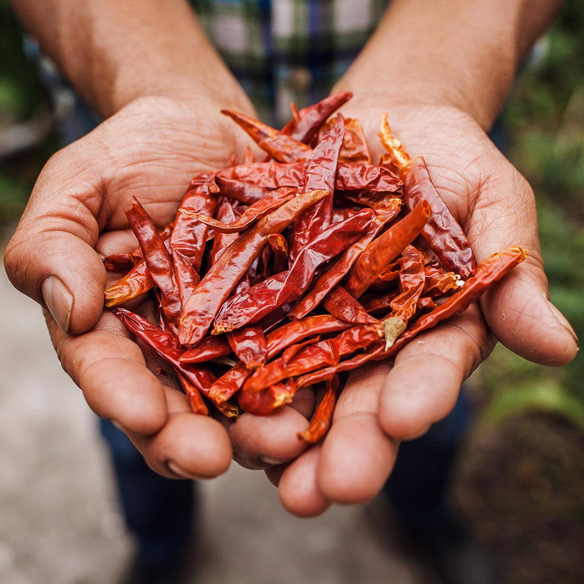 Dried cayenne chillies chilli mash company
