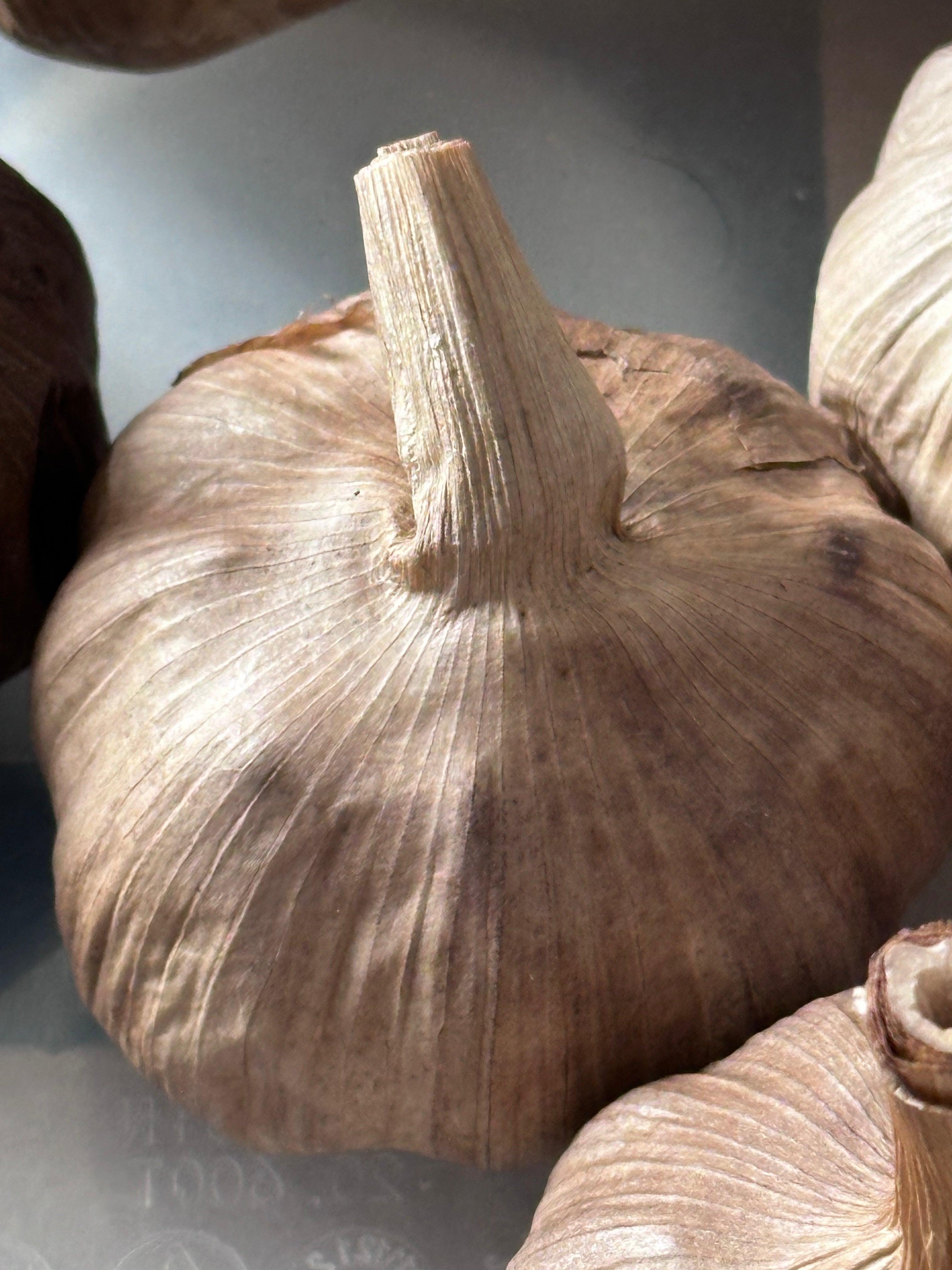 Black garlic bulb