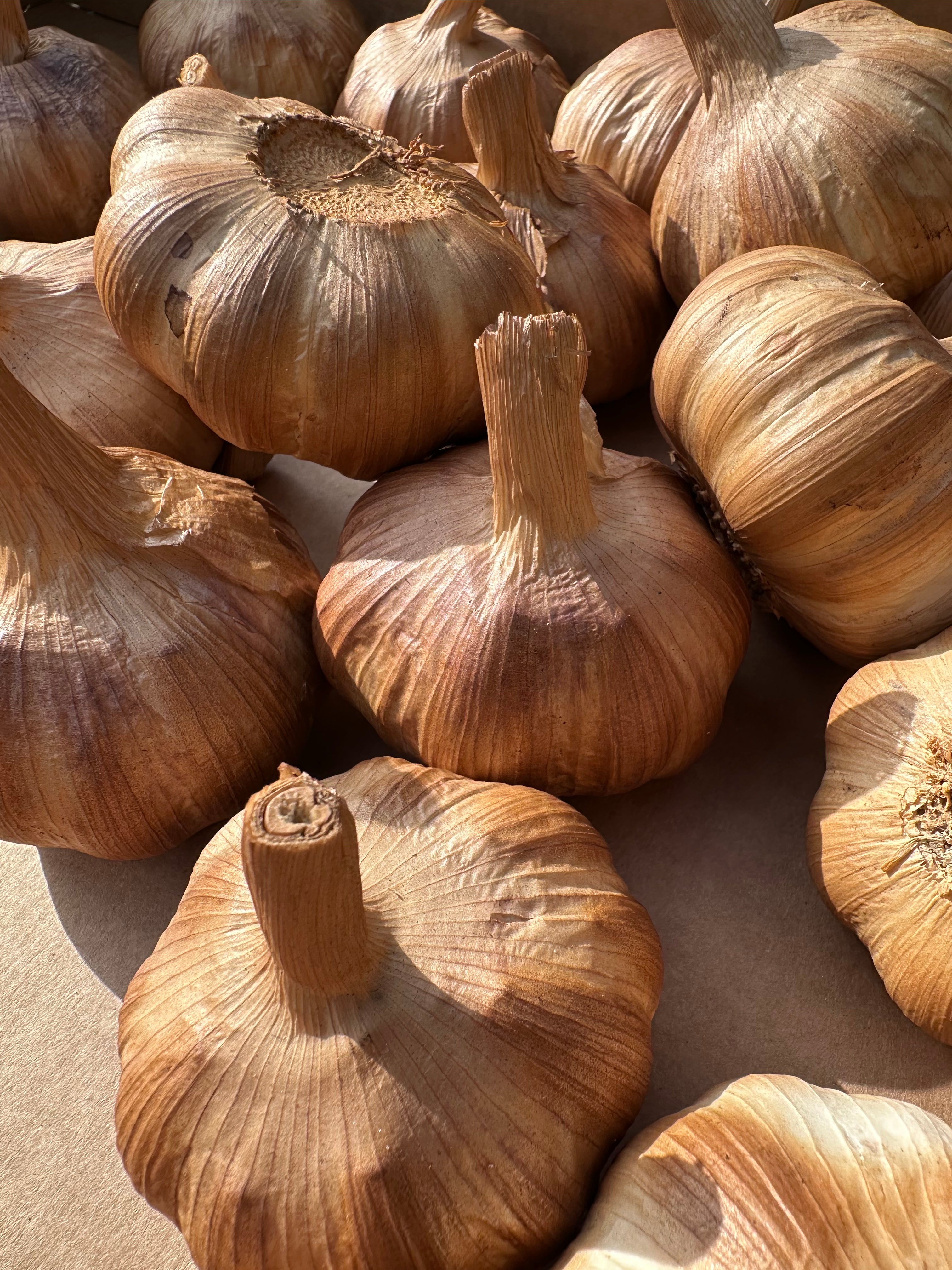 Group of hickory smoked garlic